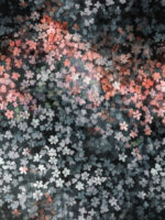 Esarfa Casmir Bistre - imagine 2