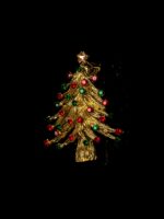 Brosa Fir Aurie