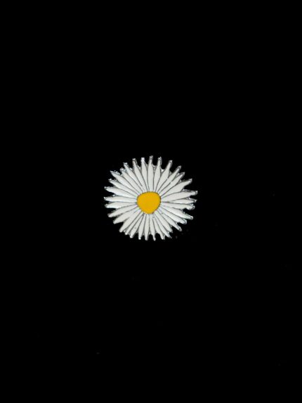 Pin Daisy